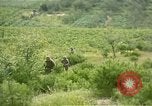 Immagine di Stati Uniti Marines Fiume Naktong Corea, 1950, secondo 8 filmato di repertorio 65675041605