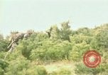 Immagine di Stati Uniti Marines Fiume Naktong Corea, 1950, secondo 13 filmato di repertorio 65675041605