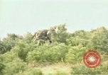 Immagine di Stati Uniti Marines Fiume Naktong Corea, 1950, secondo 14 filmato di repertorio 65675041605