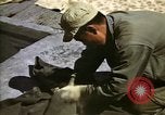 Image of United States Marines Japan, 1950, second 8 stock footage video 65675041609