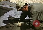 Image of United States Marines Japan, 1950, second 9 stock footage video 65675041609