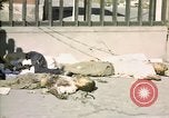 Image of United States Marines Seoul Korea, 1950, second 49 stock footage video 65675041611