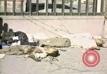 Image of United States Marines Seoul Korea, 1950, second 50 stock footage video 65675041611