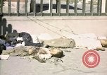 Image of United States Marines Seoul Korea, 1950, second 52 stock footage video 65675041611
