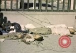Image of United States Marines Seoul Korea, 1950, second 59 stock footage video 65675041611