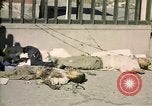 Image of United States Marines Seoul Korea, 1950, second 60 stock footage video 65675041611