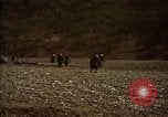 Standbild Vereinigten Staaten Marines im Kampf während des Korea Krieges Hoengsong Korea, 1951, aus Sekunde 17 historischem Filmmaterial Videoclip 65675041615