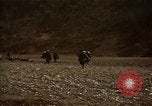 Standbild Vereinigten Staaten Marines im Kampf während des Korea Krieges Hoengsong Korea, 1951, aus Sekunde 18 historischem Filmmaterial Videoclip 65675041615