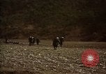 Standbild Vereinigten Staaten Marines im Kampf während des Korea Krieges Hoengsong Korea, 1951, aus Sekunde 19 historischem Filmmaterial Videoclip 65675041615