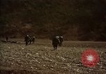 Standbild Vereinigten Staaten Marines im Kampf während des Korea Krieges Hoengsong Korea, 1951, aus Sekunde 21 historischem Filmmaterial Videoclip 65675041615