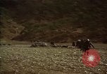 Standbild Vereinigten Staaten Marines im Kampf während des Korea Krieges Hoengsong Korea, 1951, aus Sekunde 28 historischem Filmmaterial Videoclip 65675041615