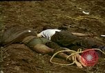 Standbild Atrocity Opfer von Hoengsong Hinterhalt in Korea Krieg Hoengsong Korea, 1951, aus Sekunde 6 historischem Filmmaterial Videoclip 65675041617