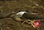 Standbild Atrocity Opfer von Hoengsong Hinterhalt in Korea Krieg Hoengsong Korea, 1951, aus Sekunde 9 historischem Filmmaterial Videoclip 65675041617