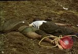 Standbild Atrocity Opfer von Hoengsong Hinterhalt in Korea Krieg Hoengsong Korea, 1951, aus Sekunde 10 historischem Filmmaterial Videoclip 65675041617