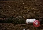 Standbild Atrocity Opfer von Hoengsong Hinterhalt in Korea Krieg Hoengsong Korea, 1951, aus Sekunde 14 historischem Filmmaterial Videoclip 65675041617
