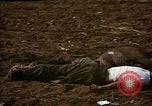 Standbild Atrocity Opfer von Hoengsong Hinterhalt in Korea Krieg Hoengsong Korea, 1951, aus Sekunde 15 historischem Filmmaterial Videoclip 65675041617