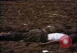 Standbild Atrocity Opfer von Hoengsong Hinterhalt in Korea Krieg Hoengsong Korea, 1951, aus Sekunde 17 historischem Filmmaterial Videoclip 65675041617