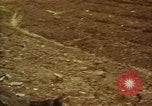 Standbild Atrocity Opfer von Hoengsong Hinterhalt in Korea Krieg Hoengsong Korea, 1951, aus Sekunde 54 historischem Filmmaterial Videoclip 65675041617