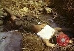 Standbild Atrocity Opfer von Hoengsong Hinterhalt in Korea Krieg Hoengsong Korea, 1951, aus Sekunde 61 historischem Filmmaterial Videoclip 65675041617