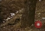 Standbild zerstörten US-Militär Lkw nach Hoengsong Massaker Hoengsong Korea, 1951, aus Sekunde 21 historischem Filmmaterial Videoclip 65675041618