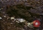 Standbild zerstörten US-Militär Lkw nach Hoengsong Massaker Hoengsong Korea, 1951, aus Sekunde 41 historischem Filmmaterial Videoclip 65675041618