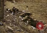 Standbild Opfer von Hoengsong Massaker in Korea Krieg Hoengsong Korea, 1951, aus Sekunde 20 historischem Filmmaterial Videoclip 65675041619
