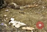Standbild Opfer von Hoengsong Massaker in Korea Krieg Hoengsong Korea, 1951, aus Sekunde 23 historischem Filmmaterial Videoclip 65675041619