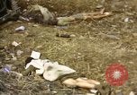 Standbild Opfer von Hoengsong Massaker in Korea Krieg Hoengsong Korea, 1951, aus Sekunde 24 historischem Filmmaterial Videoclip 65675041619