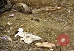 Standbild Opfer von Hoengsong Massaker in Korea Krieg Hoengsong Korea, 1951, aus Sekunde 25 historischem Filmmaterial Videoclip 65675041619