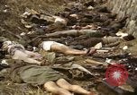 Standbild Opfer von Hoengsong Massaker in Korea Krieg Hoengsong Korea, 1951, aus Sekunde 28 historischem Filmmaterial Videoclip 65675041619