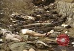 Standbild Opfer von Hoengsong Massaker in Korea Krieg Hoengsong Korea, 1951, aus Sekunde 30 historischem Filmmaterial Videoclip 65675041619