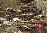 Standbild Opfer von Hoengsong Massaker in Korea Krieg Hoengsong Korea, 1951, aus Sekunde 32 historischem Filmmaterial Videoclip 65675041619