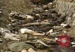 Standbild Opfer von Hoengsong Massaker in Korea Krieg Hoengsong Korea, 1951, aus Sekunde 33 historischem Filmmaterial Videoclip 65675041619