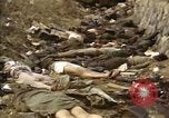 Standbild Opfer von Hoengsong Massaker in Korea Krieg Hoengsong Korea, 1951, aus Sekunde 35 historischem Filmmaterial Videoclip 65675041619