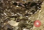 Standbild Opfer von Hoengsong Massaker in Korea Krieg Hoengsong Korea, 1951, aus Sekunde 59 historischem Filmmaterial Videoclip 65675041619