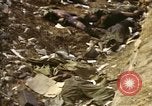 Standbild Opfer von Hoengsong Massaker in Korea Krieg Hoengsong Korea, 1951, aus Sekunde 61 historischem Filmmaterial Videoclip 65675041619