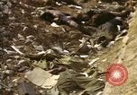 Standbild Opfer von Hoengsong Massaker in Korea Krieg Hoengsong Korea, 1951, aus Sekunde 62 historischem Filmmaterial Videoclip 65675041619
