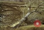 Standbild Hoengsong Massaker atrocity Opfer Hoengsong Korea, 1951, aus Sekunde 17 historischem Filmmaterial Videoclip 65675041620
