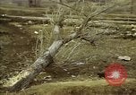 Standbild Hoengsong Massaker atrocity Opfer Hoengsong Korea, 1951, aus Sekunde 18 historischem Filmmaterial Videoclip 65675041620