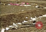 Standbild Hoengsong Massaker atrocity Opfer Hoengsong Korea, 1951, aus Sekunde 23 historischem Filmmaterial Videoclip 65675041620
