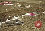 Standbild Hoengsong Massaker atrocity Opfer Hoengsong Korea, 1951, aus Sekunde 25 historischem Filmmaterial Videoclip 65675041620