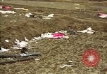 Standbild Hoengsong Massaker atrocity Opfer Hoengsong Korea, 1951, aus Sekunde 26 historischem Filmmaterial Videoclip 65675041620