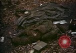 Standbild Hoengsong Massaker atrocity Opfer Hoengsong Korea, 1951, aus Sekunde 52 historischem Filmmaterial Videoclip 65675041620
