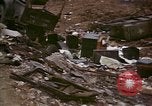 Image of Hoengsong Massacre victims discovered by 7th Marines Hoengsong Korea, 1951, second 25 stock footage video 65675041621