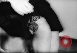 Image of Fashion piracy Germany, 1959, second 28 stock footage video 65675041626