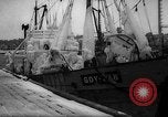Image of Gdynia harbor Poland, 1959, second 10 stock footage video 65675041632
