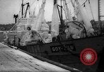 Image of Gdynia harbor Poland, 1959, second 11 stock footage video 65675041632