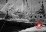 Image of Gdynia harbor Poland, 1959, second 12 stock footage video 65675041632