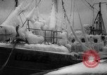Image of Gdynia harbor Poland, 1959, second 13 stock footage video 65675041632