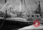 Image of Gdynia harbor Poland, 1959, second 14 stock footage video 65675041632